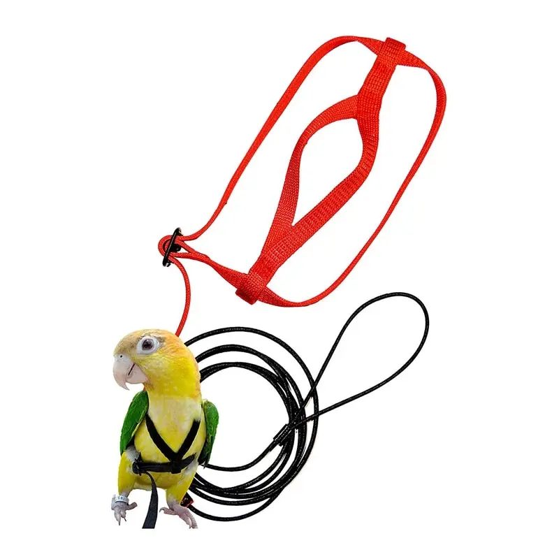 Шлейка для птиц-поводок фиксации-регулируемая зеленая нейлоновая веревка птиц