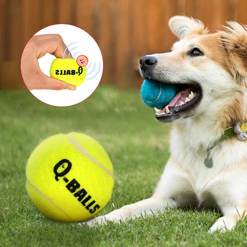 Squeak Dog Chew Toy Pet Dog Training Supply Molar Bite Chewing Pet Toys ForSmall Medium Large Dogs Cats Play Chewing Balls Toys
Squeak Dog Chew Toy Pet Dog Training Supply Molar Bite Chewing Pet Toys ForSmall Medium Large Dogs Cats Play Chewing Balls Toys