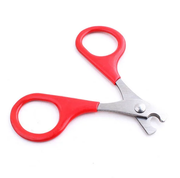 1 шт. профессиональные кусачки для ногтей домашних питомцев, ножницы для ногтей, триммер для когтей, товары для ухода за домашними питомцами ...
1 шт. профессиональные кусачки для ногтей домашних питомцев, ножницы для ногтей, триммер для когтей, товары для ухода за домашними питомцами ...