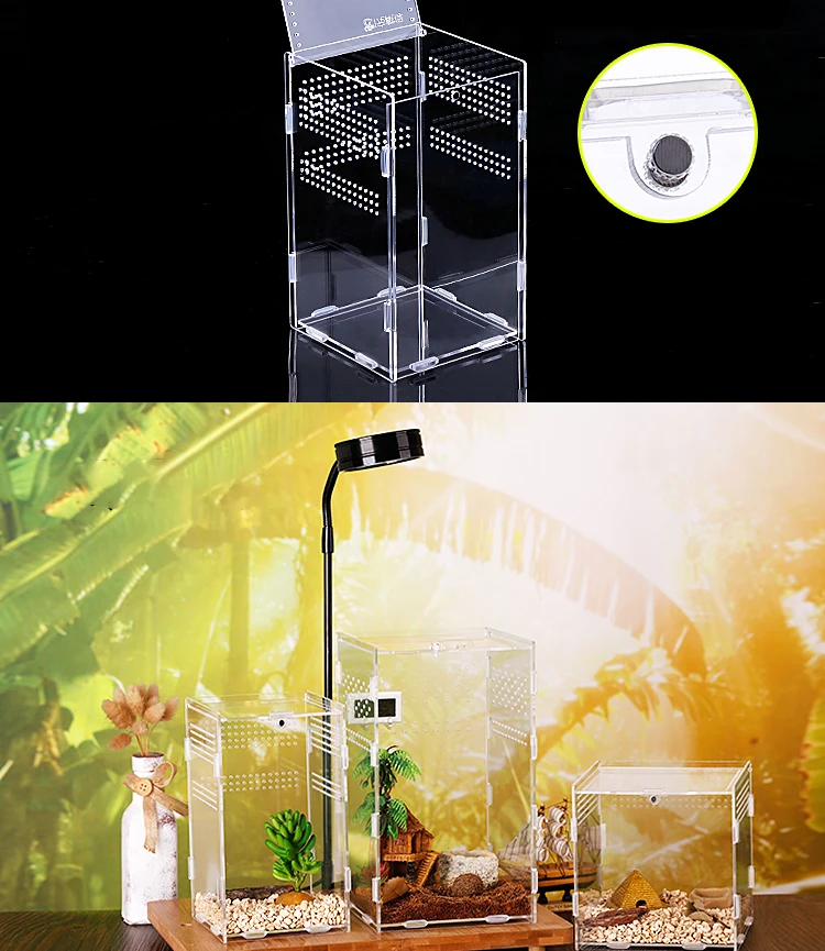 Reptile Breeding Box Acrylic Spider Lizard Scorpion Enti's Acrylic Assembled Transparent Insect Breathable Terrarium acrylic box
Reptile Breeding Box Acrylic Spider Lizard Scorpion Enti's Acrylic Assembled Transparent Insect Breathable Terrarium acrylic box