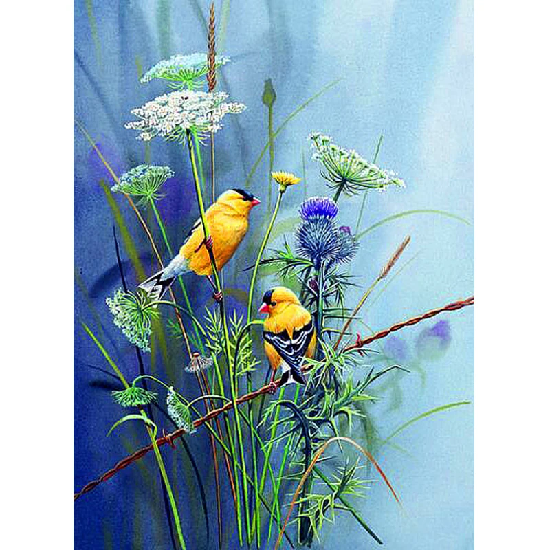 Diamond Embroidery Full Display Birds Cross Stitch Diamond Mosaic Sale Flower Rhinestones Pictures Diamond Painting
Diamond Embroidery Full Display Birds Cross Stitch Diamond Mosaic Sale Flower Rhinestones Pictures Diamond Painting