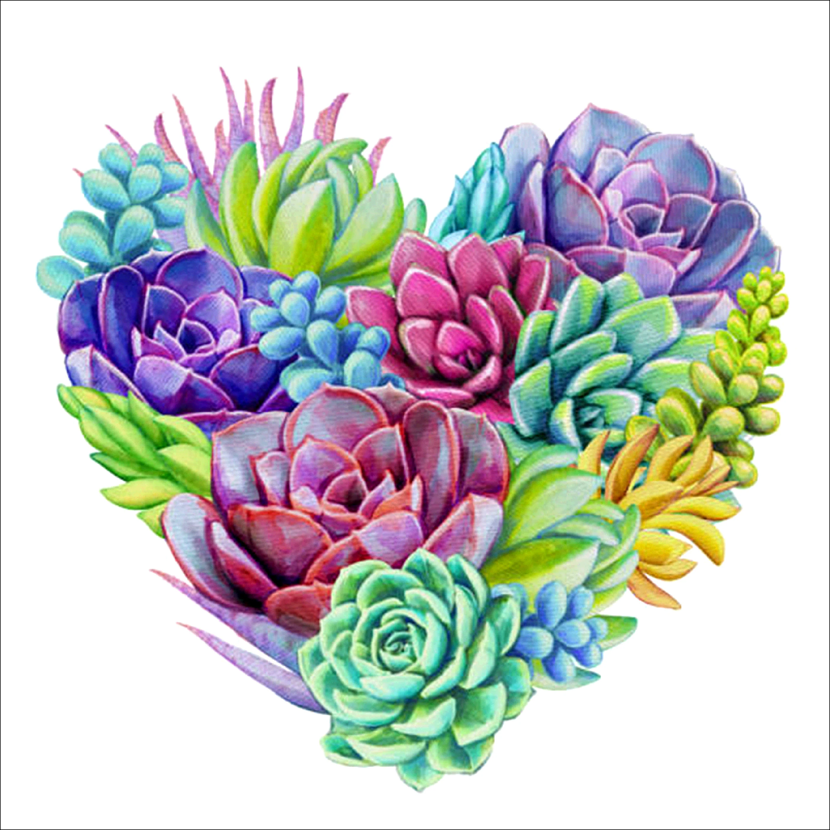 5D DIY Diamond Succulent Flower Painting Cross Stitch Kit Round Diamond Embroidery Mosaic Rhinestone Picture Gift Decoration
5D DIY Diamond Succulent Flower Painting Cross Stitch Kit Round Diamond Embroidery Mosaic Rhinestone Picture Gift Decoration