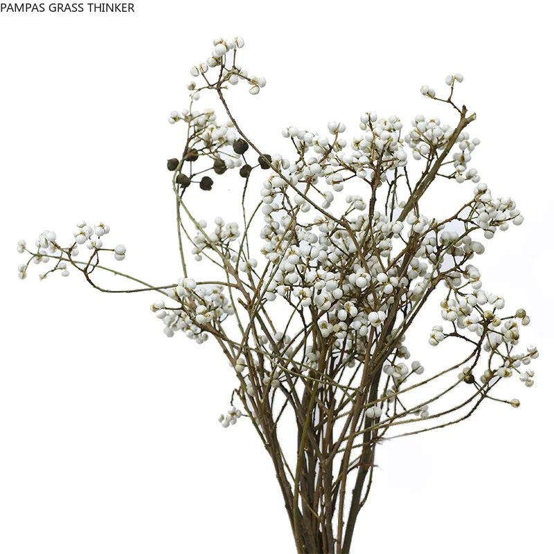 8 шт. натуральные сушеные ветки гинкго, букет сушеных грибов, трава, цветок для вечеринки, домашний декор 
8 шт. натуральные сушеные ветки гинкго, букет сушеных грибов, трава, цветок для вечеринки, домашний декор