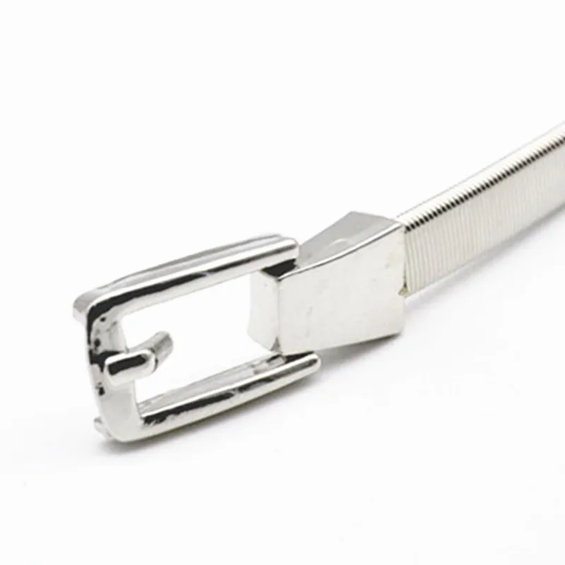 Vintage Metal Buckle Belt for Dresses Women Ladies Elastic Waist Chain Belts Female Silver Gold Thin Belts Fashion Waistband 
Vintage Metal Buckle Belt for Dresses Women Ladies Elastic Waist Chain Belts Female Silver Gold Thin Belts Fashion Waistband