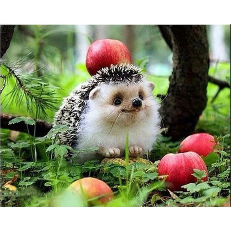 5D Diamond Painting Forest Hedgehog Mushroom Basket DIY Diamond Embroidery Cross Stitch Mosaic Full Round Rhinestones Home Decor 
5D Diamond Painting Forest Hedgehog Mushroom Basket DIY Diamond Embroidery Cross Stitch Mosaic Full Round Rhinestones Home Decor