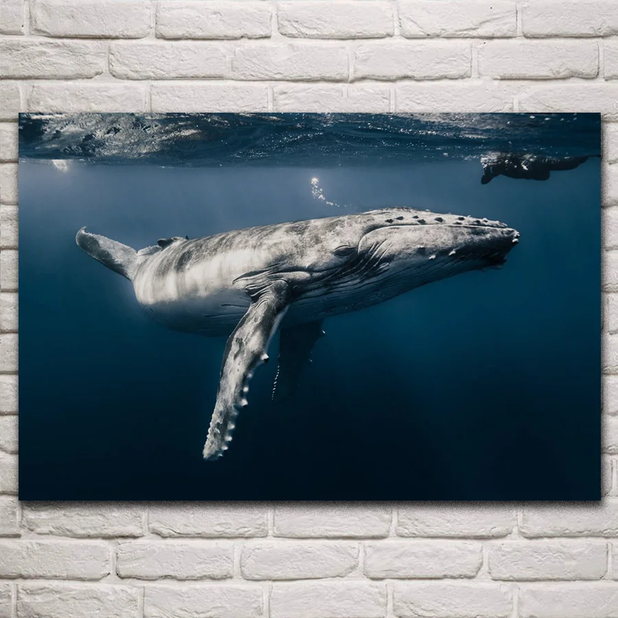 Big whale underwater world ocean animal fanart posters on the wall picture home living room decoration for bedroom KP067
Big whale underwater world ocean animal fanart posters on the wall picture home living room decoration for bedroom KP067
