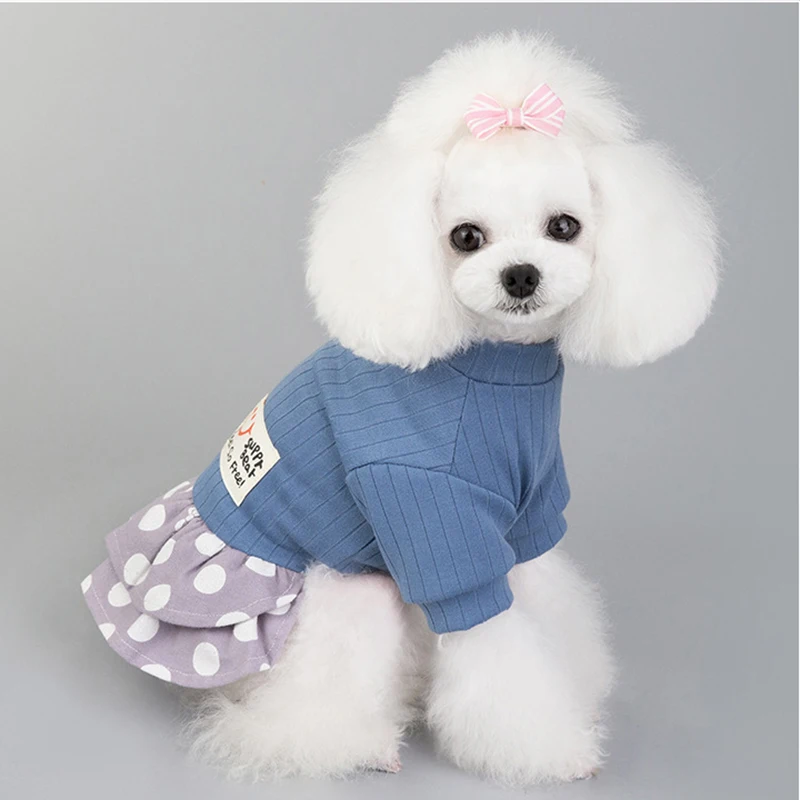 2021 new Dog clothes pet summer dress Clothing for cats small dogs skirt Puppy wedding evening fancy Smiley polka dot cute love
2021 new Dog clothes pet summer dress Clothing for cats small dogs skirt Puppy wedding evening fancy Smiley polka dot cute love