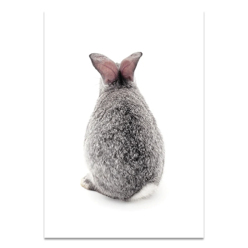 Lovely Animal Rabbit Art Posters and Prints Nordic Wall Art Painting Pictures Decorative for Living Room Home Decor
Lovely Animal Rabbit Art Posters and Prints Nordic Wall Art Painting Pictures Decorative for Living Room Home Decor