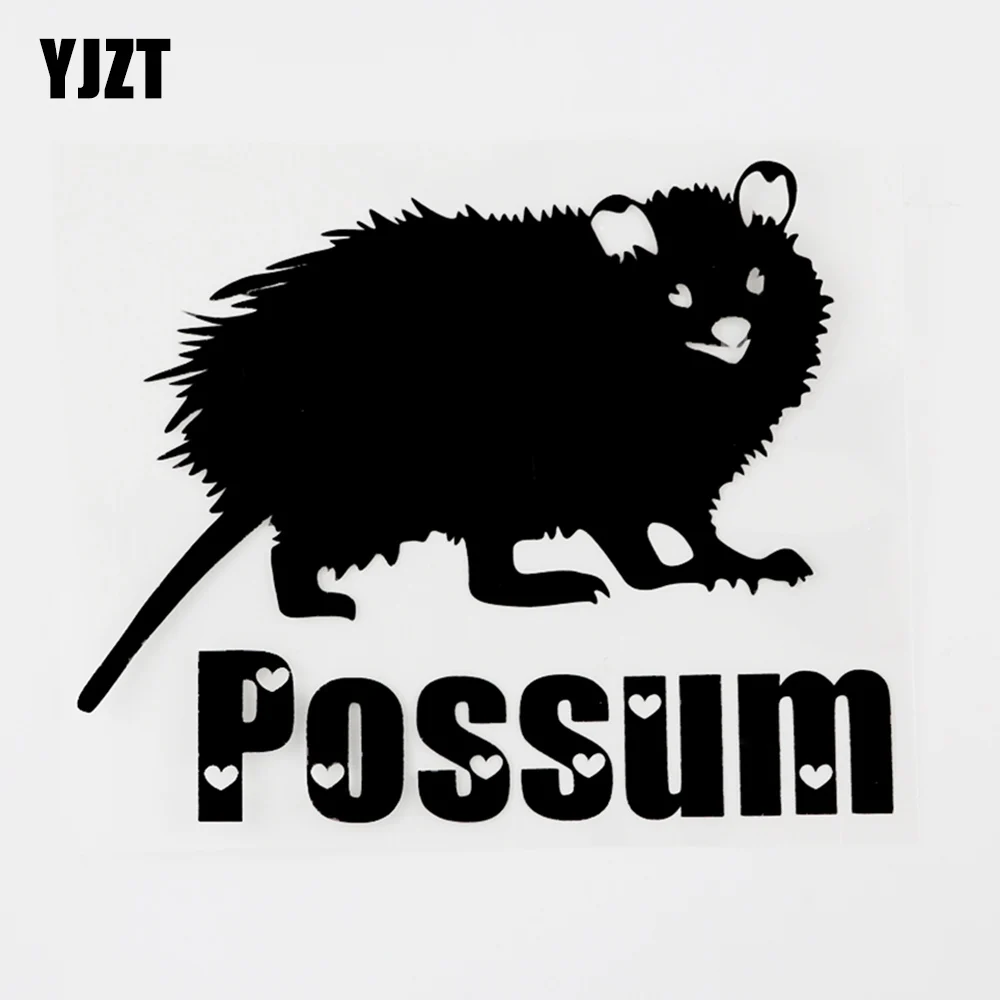 YJZT 15.2CM×12.3CM Fun Animal Possum Vinyl Bumper Car Sticker Decal Black/Silver 8C-0694
YJZT 15.2CM×12.3CM Fun Animal Possum Vinyl Bumper Car Sticker Decal Black/Silver 8C-0694