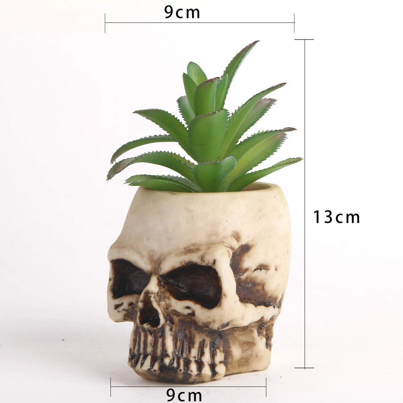 Creative Skull Resin Flower Pot Green Succulent Planter Plant Container Decor Human Skull Model Pots 
Creative Skull Resin Flower Pot Green Succulent Planter Plant Container Decor Human Skull Model Pots