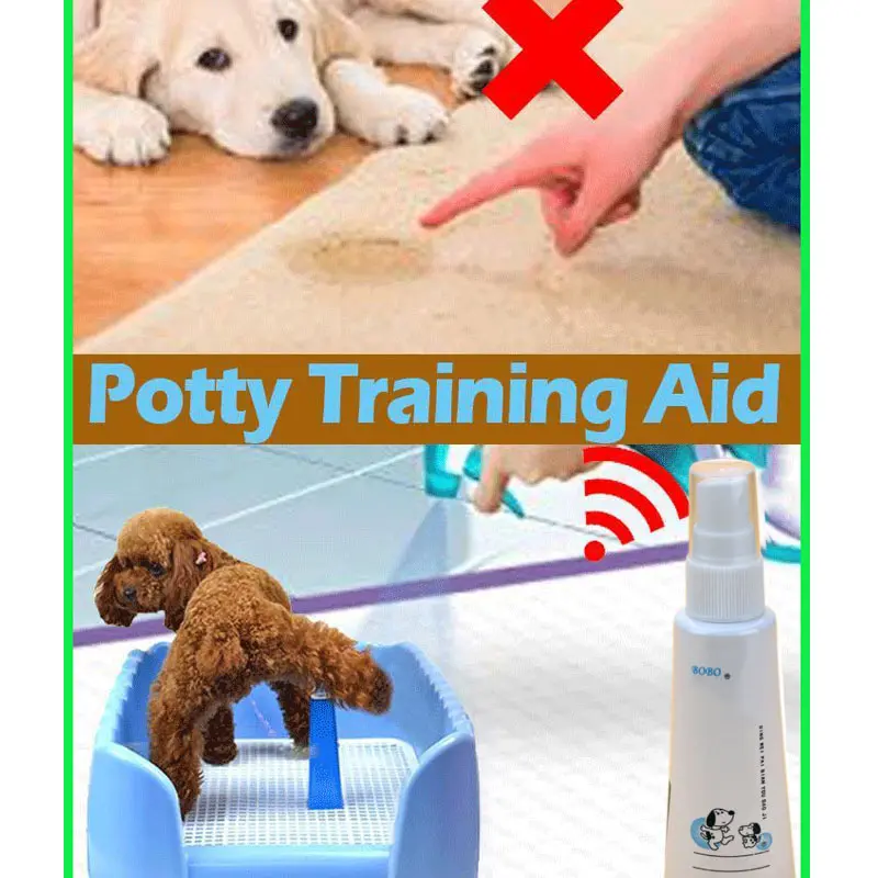 Pet Potty Aid Training Liquid Spray for Dogs Puppies Cats xqmg Litter Housebreaking Dog Supplies Pet Products Home Garden 2021
Pet Potty Aid Training Liquid Spray for Dogs Puppies Cats xqmg Litter Housebreaking Dog Supplies Pet Products Home Garden 2021