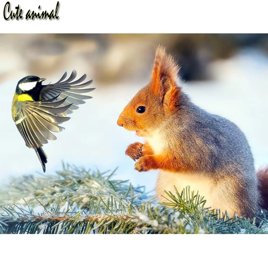 5D Diamond Painting Cross Stitch Squirrel bird cute animal diy Diamond Embroidery Diamond Mosaic new puzzle home decoration 2020
5D Diamond Painting Cross Stitch Squirrel bird cute animal diy Diamond Embroidery Diamond Mosaic new puzzle home decoration 2020