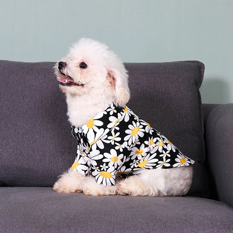 Cute Dog T-shirt Chrysanthemum Printing Two-legged Cotton Button Design Vest for Summer Dog Pet Product Dog Supplies 2021 New
Cute Dog T-shirt Chrysanthemum Printing Two-legged Cotton Button Design Vest for Summer Dog Pet Product Dog Supplies 2021 New