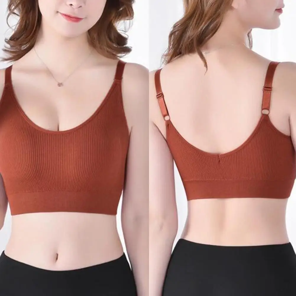 Stylish Women Solid Color Padded Wireless Elastic Ribbed Tube Top Bra Underwear Elastic Adjustable Shoulder Straps
Stylish Women Solid Color Padded Wireless Elastic Ribbed Tube Top Bra Underwear Elastic Adjustable Shoulder Straps