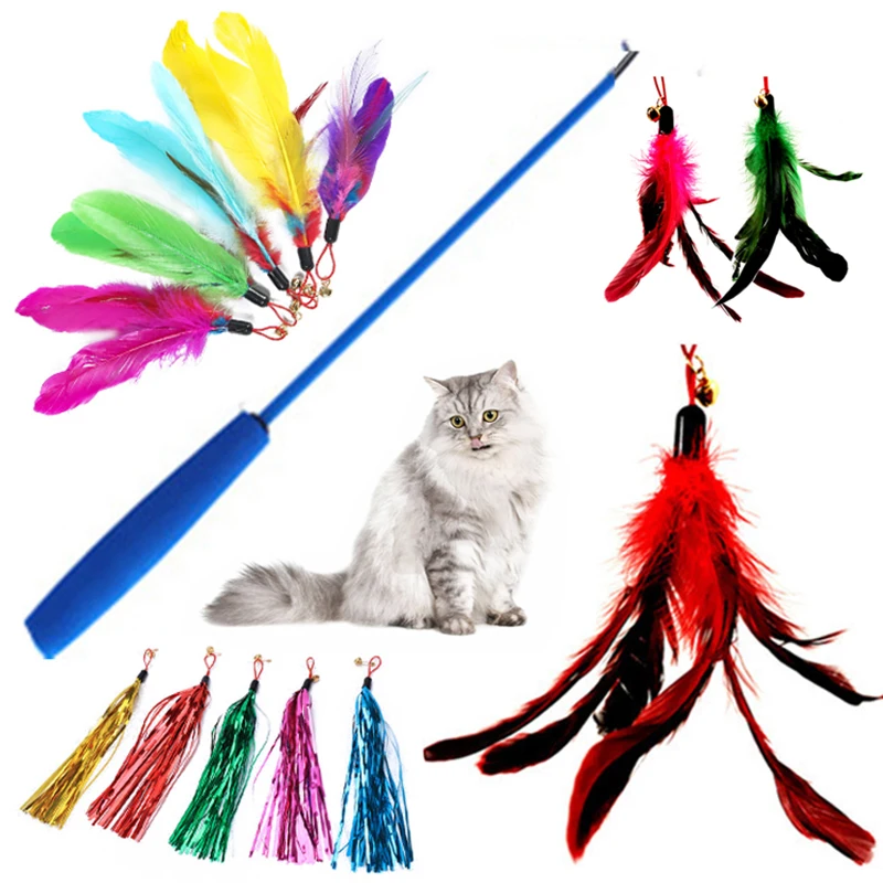 New 1PC Replacement Cat Teaser Playing Having Fun Extendable Cat Wand Feather Exercise Cat Toy Rod Stick Funny Pet Supplies
New 1PC Replacement Cat Teaser Playing Having Fun Extendable Cat Wand Feather Exercise Cat Toy Rod Stick Funny Pet Supplies