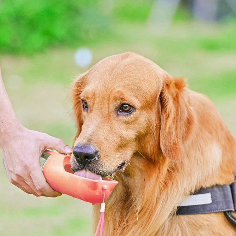 Dog Water Bottle Feeder Tool Bowl Dispenser Walking Portable Travel Drinking Large Capacity Cup Pet Outdoor Feeding Accessories
Dog Water Bottle Feeder Tool Bowl Dispenser Walking Portable Travel Drinking Large Capacity Cup Pet Outdoor Feeding Accessories