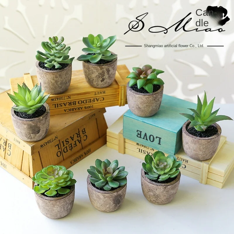 Simulated succulent plant bonsai (including basin) creative decoration indoor, simulated flower straight
Simulated succulent plant bonsai (including basin) creative decoration indoor, simulated flower straight