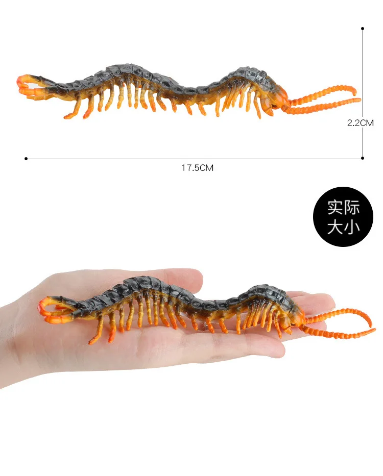 Hot Simulation Wild Insect Animal Simulation Figure Centipede Educational Toy for Children Toy Figure Collection Interactiv Toys
Hot Simulation Wild Insect Animal Simulation Figure Centipede Educational Toy for Children Toy Figure Collection Interactiv Toys