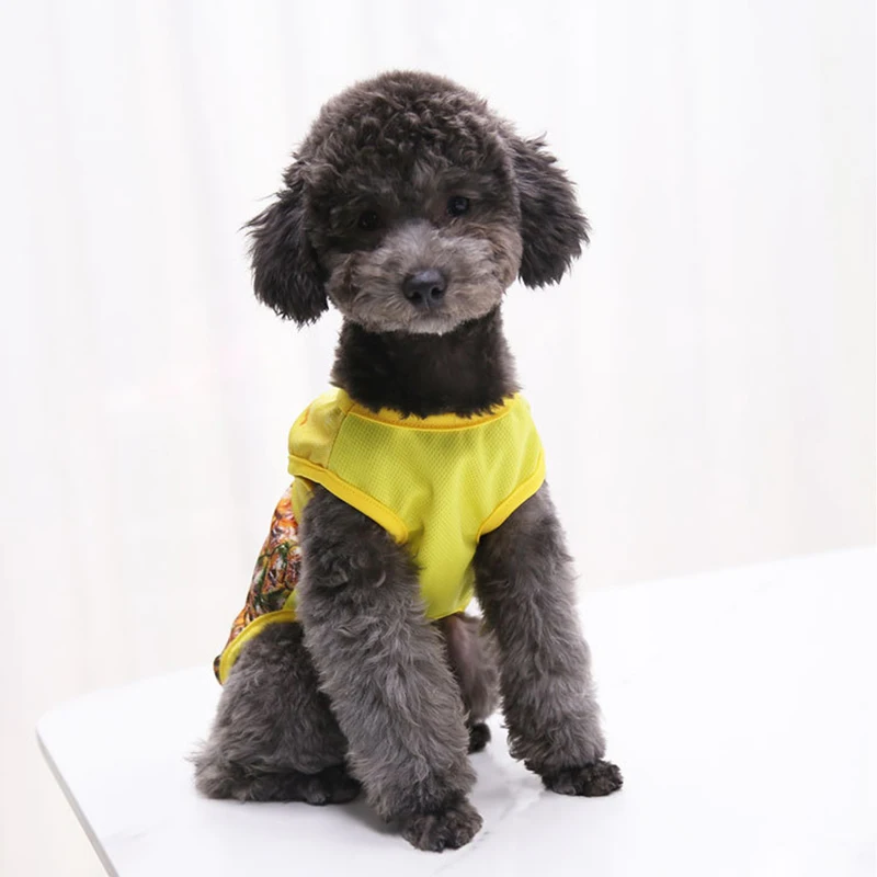New Pet Dog Clothes For Small Dogs Pitaya Pineapple Printed Puppy Cat Cotton T-shirt Vest Summer Pet Clothing Chihuahua Shirts
New Pet Dog Clothes For Small Dogs Pitaya Pineapple Printed Puppy Cat Cotton T-shirt Vest Summer Pet Clothing Chihuahua Shirts