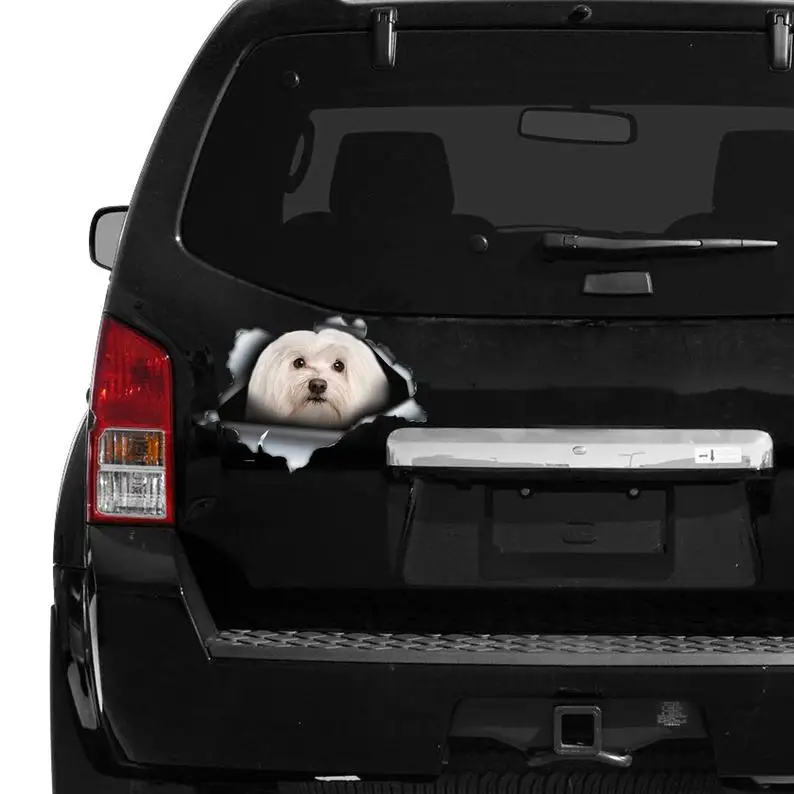 2021 Long haired Maltese car decal, maltese magnet, maltese car sticker, pet decal
2021 Long haired Maltese car decal, maltese magnet, maltese car sticker, pet decal