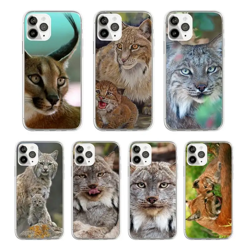 African Lynx Caracal Big Cat Phone Case Transparent soft For iphone 12 11 13 7 8 6 s plus x xs xr pro max mini
African Lynx Caracal Big Cat Phone Case Transparent soft For iphone 12 11 13 7 8 6 s plus x xs xr pro max mini