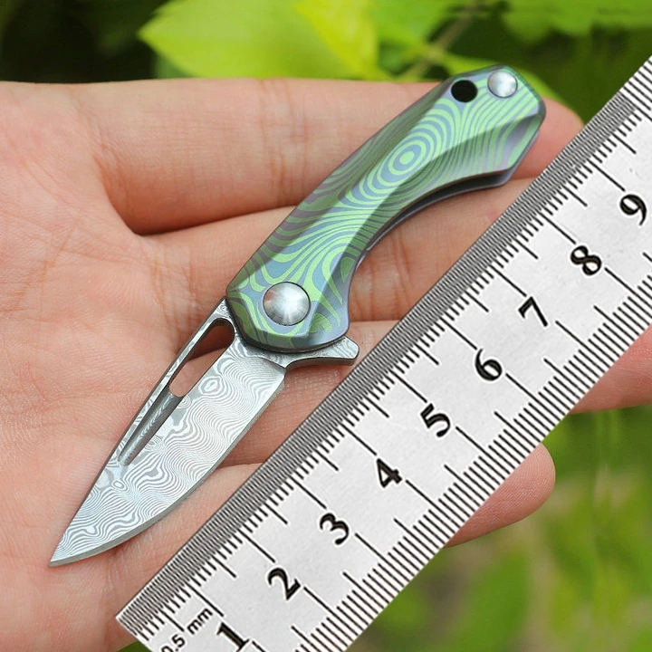 Дамасские Мини Складные лезвия Ножи креативная титановая ручка уличный портативный походный рыболовный Нож EDC ожерелье брелок нож
Дамасские Мини Складные лезвия Ножи креативная титановая ручка уличный портативный походный рыболовный Нож EDC ожерелье брелок нож