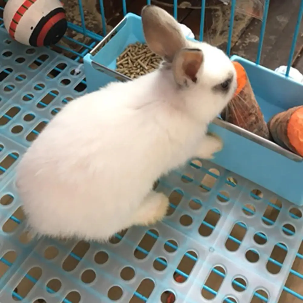 Small Animal Rabbit Feet Mat Pet Cage Mat for Hamster Cage Rabbit Grids Holes Anti-slip Feet Pads for Small Pet Cage Accessories
Small Animal Rabbit Feet Mat Pet Cage Mat for Hamster Cage Rabbit Grids Holes Anti-slip Feet Pads for Small Pet Cage Accessories