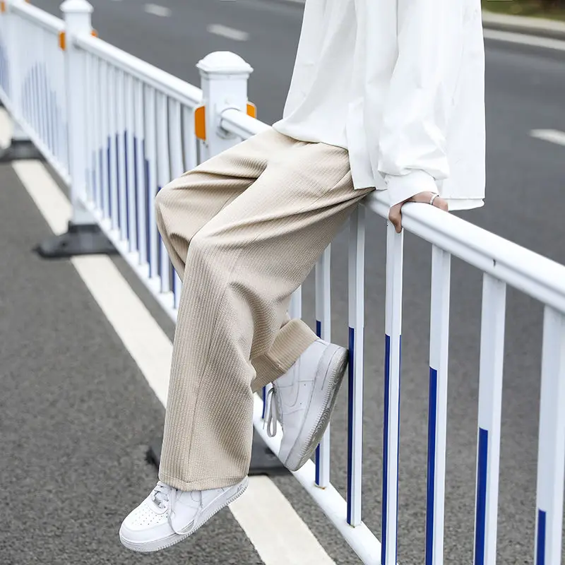 Spring Summer Pleated Pants Men's Korean Fashion Loose Casual Pants Men's Harajuku Streetwear Straight Mopping Pants Men
Spring Summer Pleated Pants Men's Korean Fashion Loose Casual Pants Men's Harajuku Streetwear Straight Mopping Pants Men