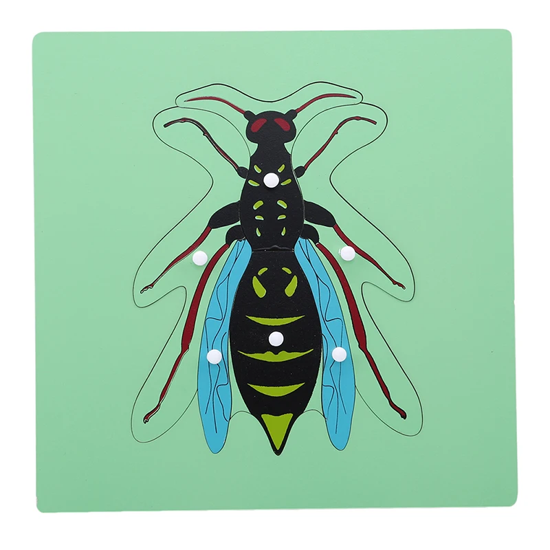 Wooden puzzle toy Educational Developmental Baby Kids Training toys Animal puzzles Jigsaw Puzzle Jouet Enfant
Wooden puzzle toy Educational Developmental Baby Kids Training toys Animal puzzles Jigsaw Puzzle Jouet Enfant