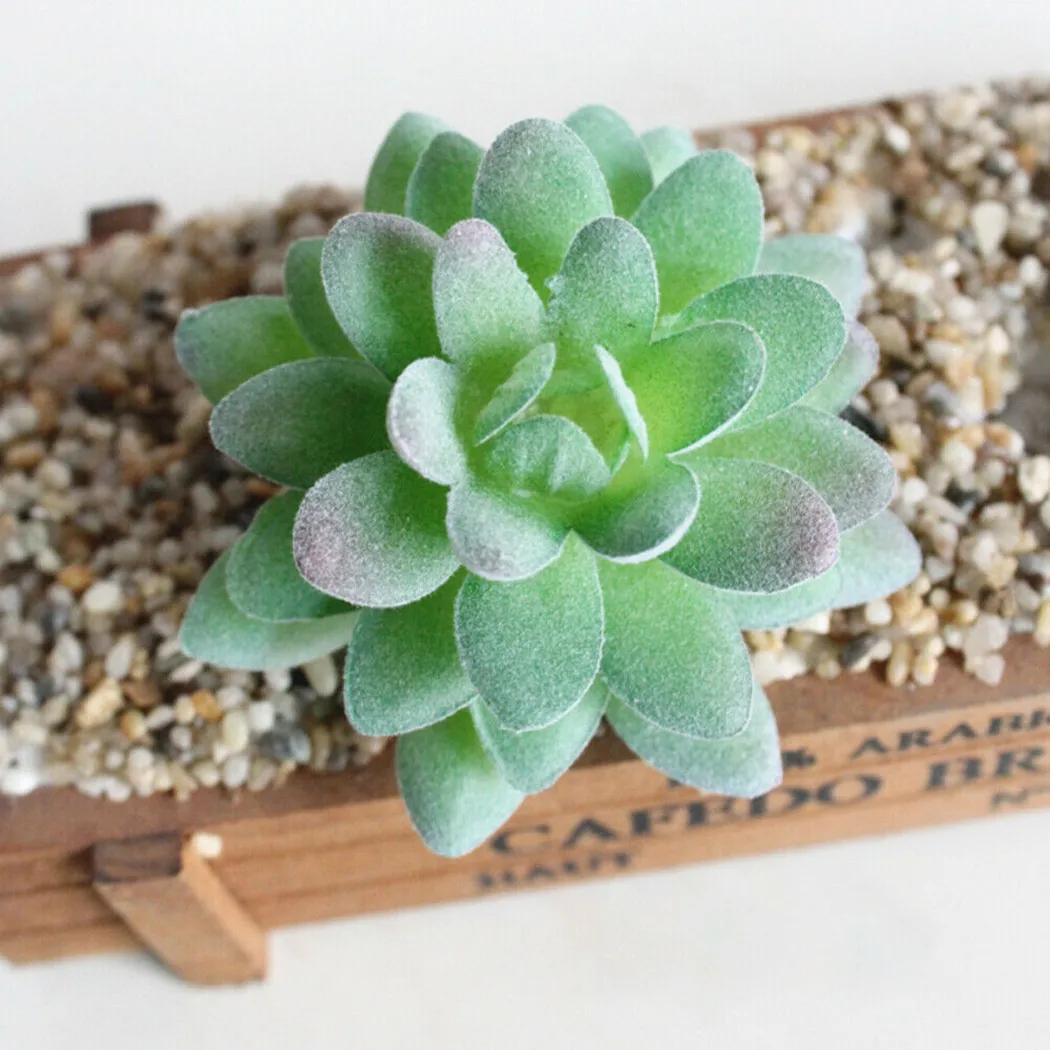 9pcs/set Simulation Succulents Potless Miniature Fake Plants Ecological Green Landscape Home Decoration
9pcs/set Simulation Succulents Potless Miniature Fake Plants Ecological Green Landscape Home Decoration