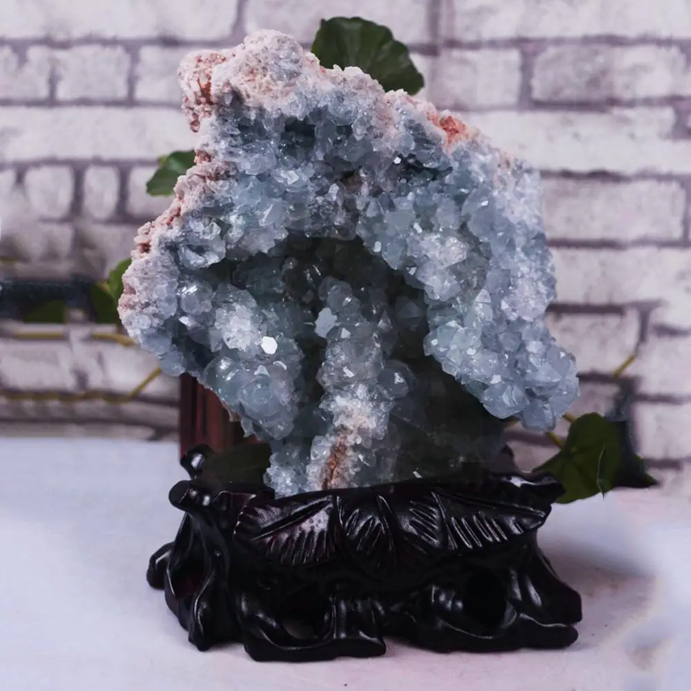 Натуральный кристалл, грубый камень, целостит, кианит, дробленая пещера, минеральный кристалл, синий образец, декоративный камень для обуче...
Натуральный кристалл, грубый камень, целостит, кианит, дробленая пещера, минеральный кристалл, синий образец, декоративный камень для обуче...