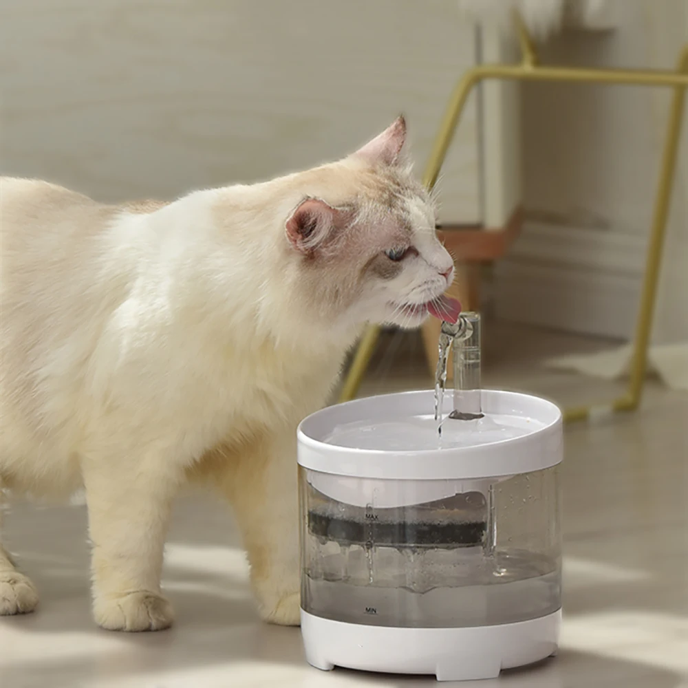 1.5L Cat Water Fountain with 2 Filters Automatic Dog Water Dispenser Clear Faucet Drinker for Cats Pet Drinking Bowl Auto Feeder
1.5L Cat Water Fountain with 2 Filters Automatic Dog Water Dispenser Clear Faucet Drinker for Cats Pet Drinking Bowl Auto Feeder