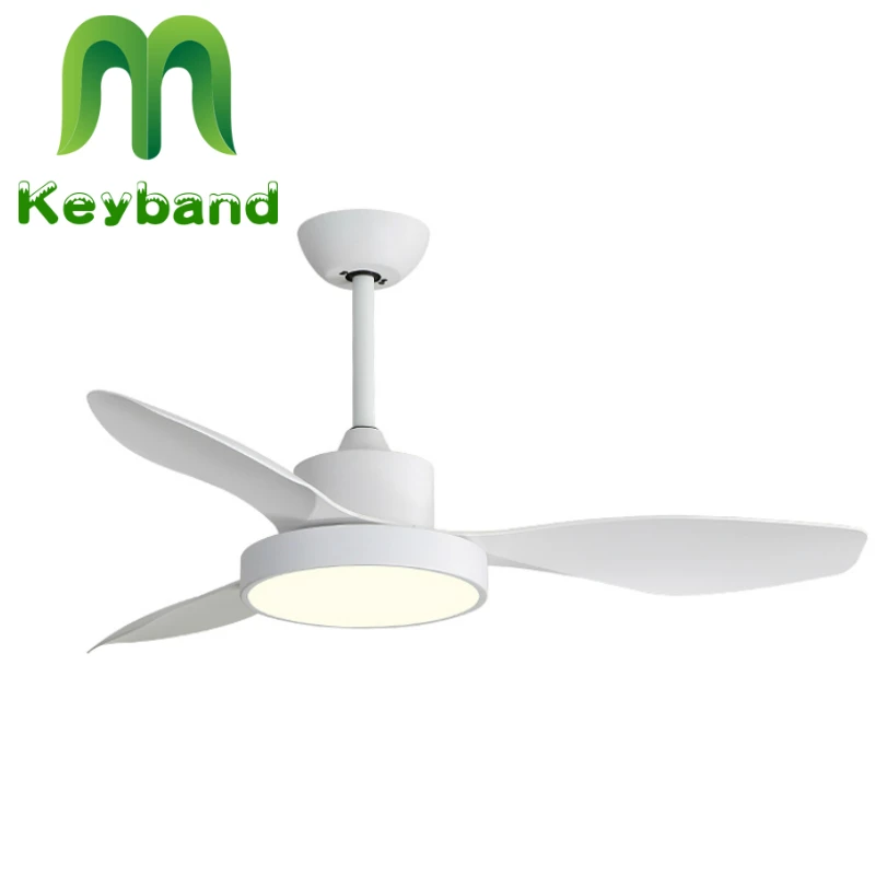 220V Ceiling Fan with Light Remote Control White for Bedroom 47 Inch No Noise Silent Copper Motor Changeable Colors
220V Ceiling Fan with Light Remote Control White for Bedroom 47 Inch No Noise Silent Copper Motor Changeable Colors