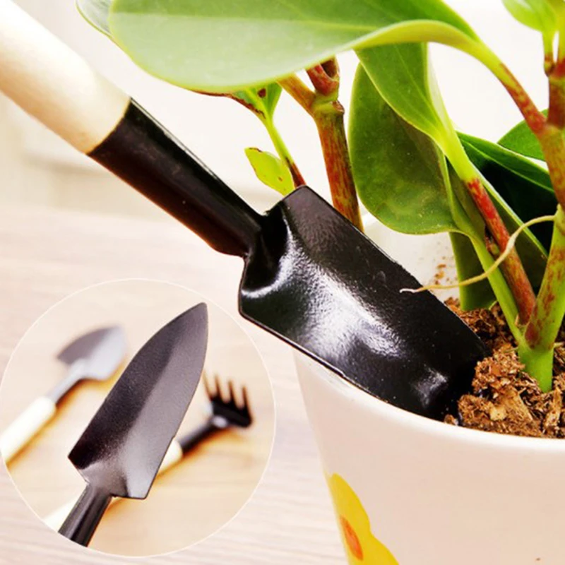 3 Pcs/set Mini Spade Shovel Harrow Flowerpot Tools Potted Plants Maintenance Wooden Handle Plant Soil Shovels Gardening Tools
3 Pcs/set Mini Spade Shovel Harrow Flowerpot Tools Potted Plants Maintenance Wooden Handle Plant Soil Shovels Gardening Tools