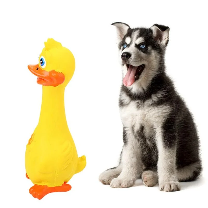 Pet Dog Chewing Toys Duck Shape Teeth Cleaning Natural Latex Squeaky Chew Toys Dogs Funny Yellow Duck Molar Supplies
Pet Dog Chewing Toys Duck Shape Teeth Cleaning Natural Latex Squeaky Chew Toys Dogs Funny Yellow Duck Molar Supplies