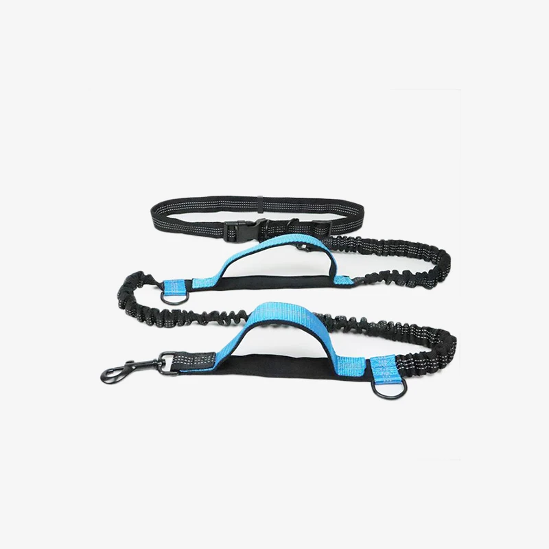 Pet Leashes Dog Leash Traction Rope Thicken 2 handle Reflective Double Elastic Hands Walk Use Solid Adjust Outdoor Running
Pet Leashes Dog Leash Traction Rope Thicken 2 handle Reflective Double Elastic Hands Walk Use Solid Adjust Outdoor Running