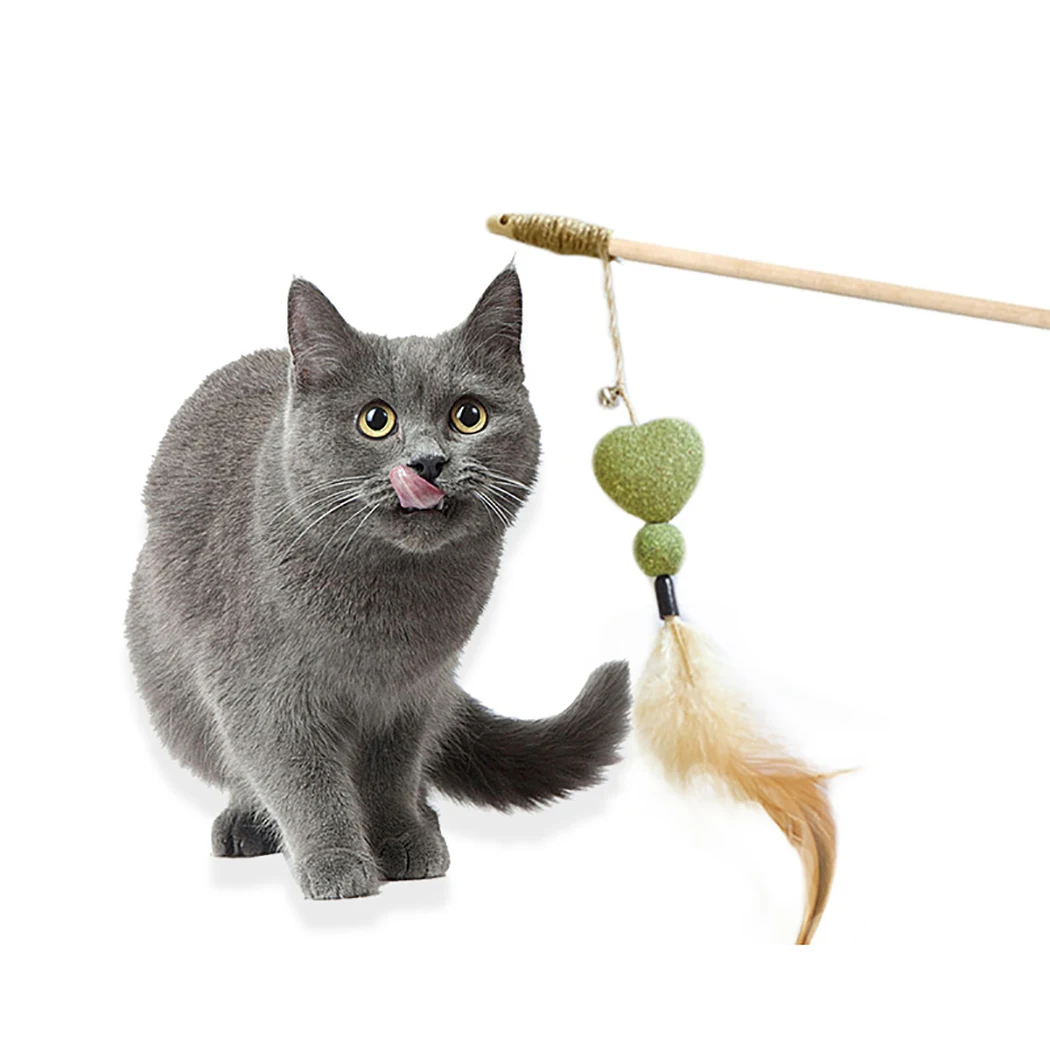 Cat Toys Feather Funny Cats Cat Teaser Interactive Natural Fun Kitten Wand Toy Pet Catnip Toy for Cat Supplies
Cat Toys Feather Funny Cats Cat Teaser Interactive Natural Fun Kitten Wand Toy Pet Catnip Toy for Cat Supplies