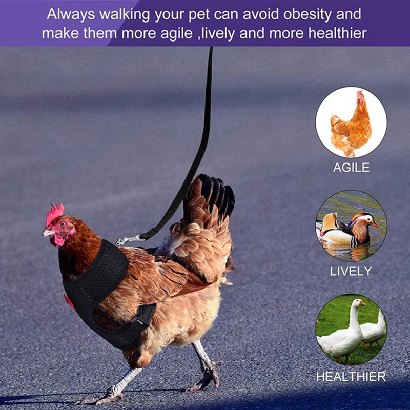 Fashion Adjustable Chicken Harness Leash Comfortable Breathable Small Size Hen Pet Vest For Chicken Duck Goose Training Walking
Fashion Adjustable Chicken Harness Leash Comfortable Breathable Small Size Hen Pet Vest For Chicken Duck Goose Training Walking