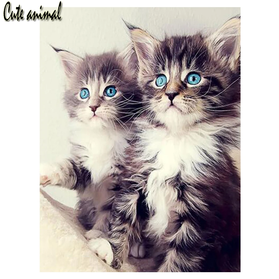 Paint With Diamond Embroidery Two cute kittens Diamond Painting Full Square Round 5D Cross Stitch Animal Picture Of Rhinestone
Paint With Diamond Embroidery Two cute kittens Diamond Painting Full Square Round 5D Cross Stitch Animal Picture Of Rhinestone