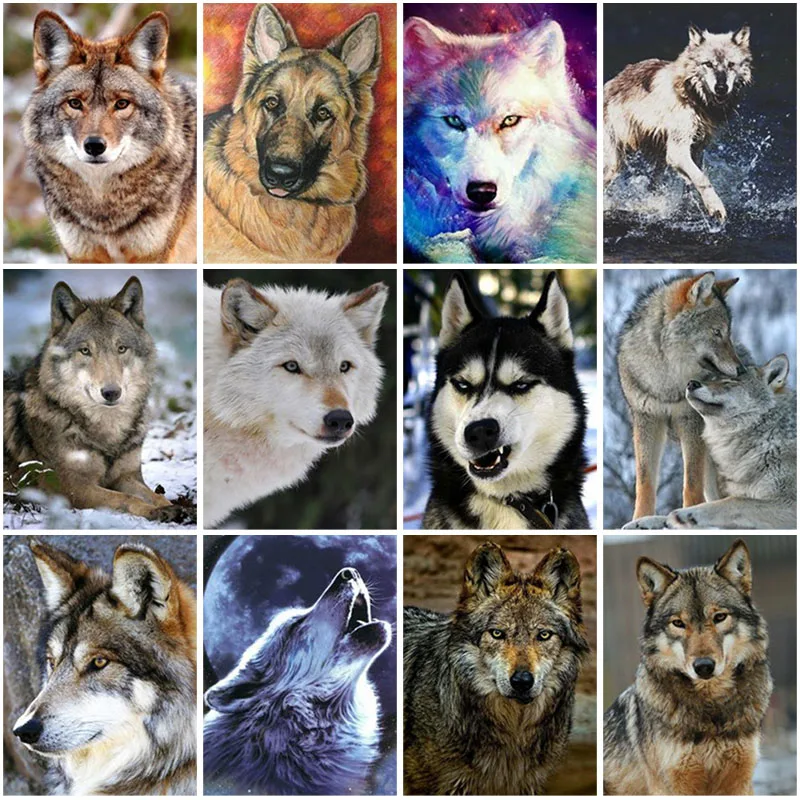 DIY Wolf 5D Diamond Painting Full Square Drill Animal Diamond Embroidery Cross Stitch Kit Gift Resin Mosaic Wall Art Home Decor
DIY Wolf 5D Diamond Painting Full Square Drill Animal Diamond Embroidery Cross Stitch Kit Gift Resin Mosaic Wall Art Home Decor