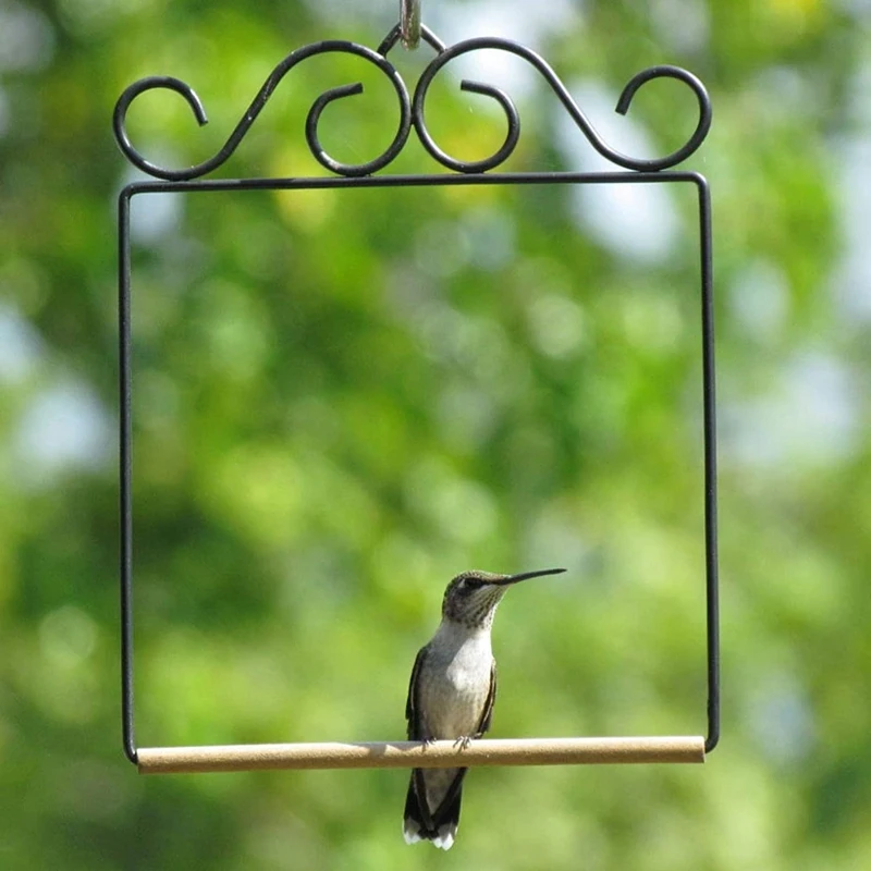 NHBR Bird Swing Rust-Proof Metal Frame Bird Habitat Feeder Accessories Outdoor Bird Swing
NHBR Bird Swing Rust-Proof Metal Frame Bird Habitat Feeder Accessories Outdoor Bird Swing