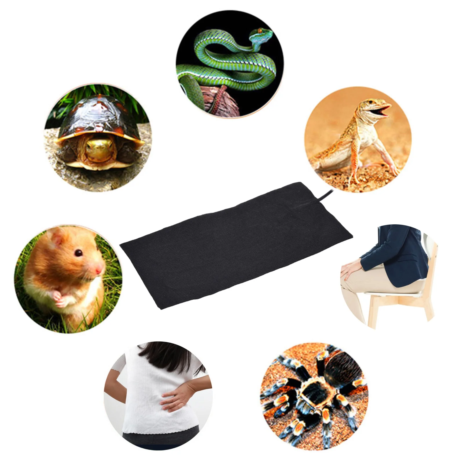 Clothes Heating Pad Reptile Heating Mat Timing-multifunctional Warmer Heating Pad for People Pet Turtles Snake Lizard Hamster
Clothes Heating Pad Reptile Heating Mat Timing-multifunctional Warmer Heating Pad for People Pet Turtles Snake Lizard Hamster