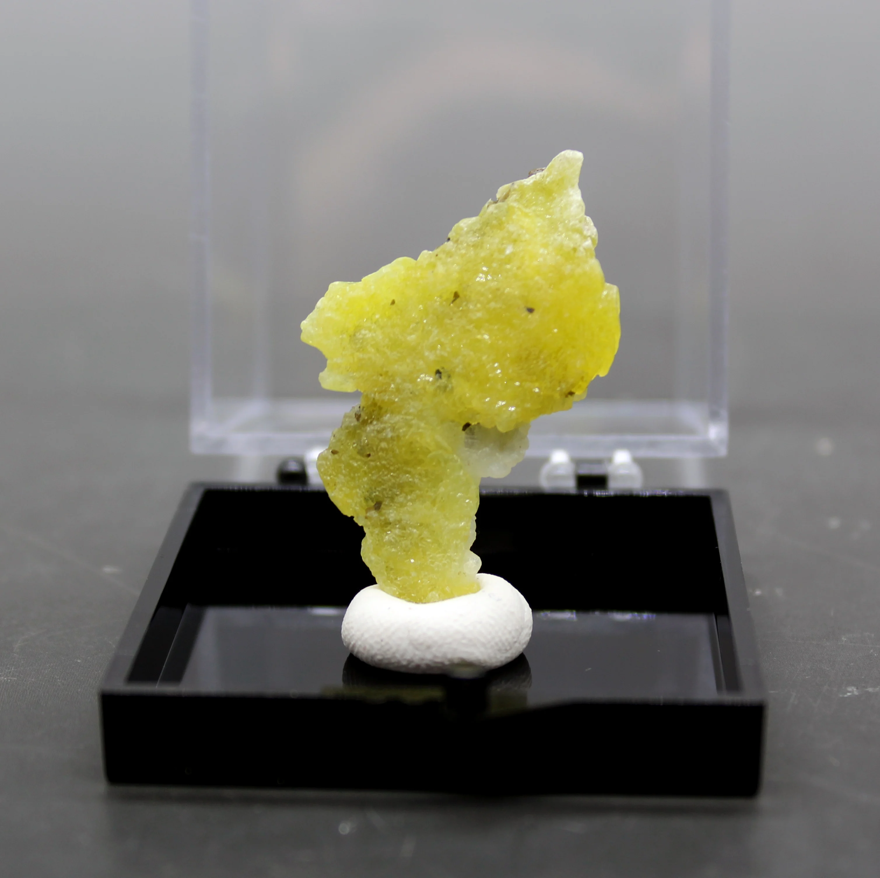 Very rare! 100% Natural yellow Brucite Mineral specimen stones and crystals healing crystals quartz box size 5.2 cm
Very rare! 100% Natural yellow Brucite Mineral specimen stones and crystals healing crystals quartz box size 5.2 cm