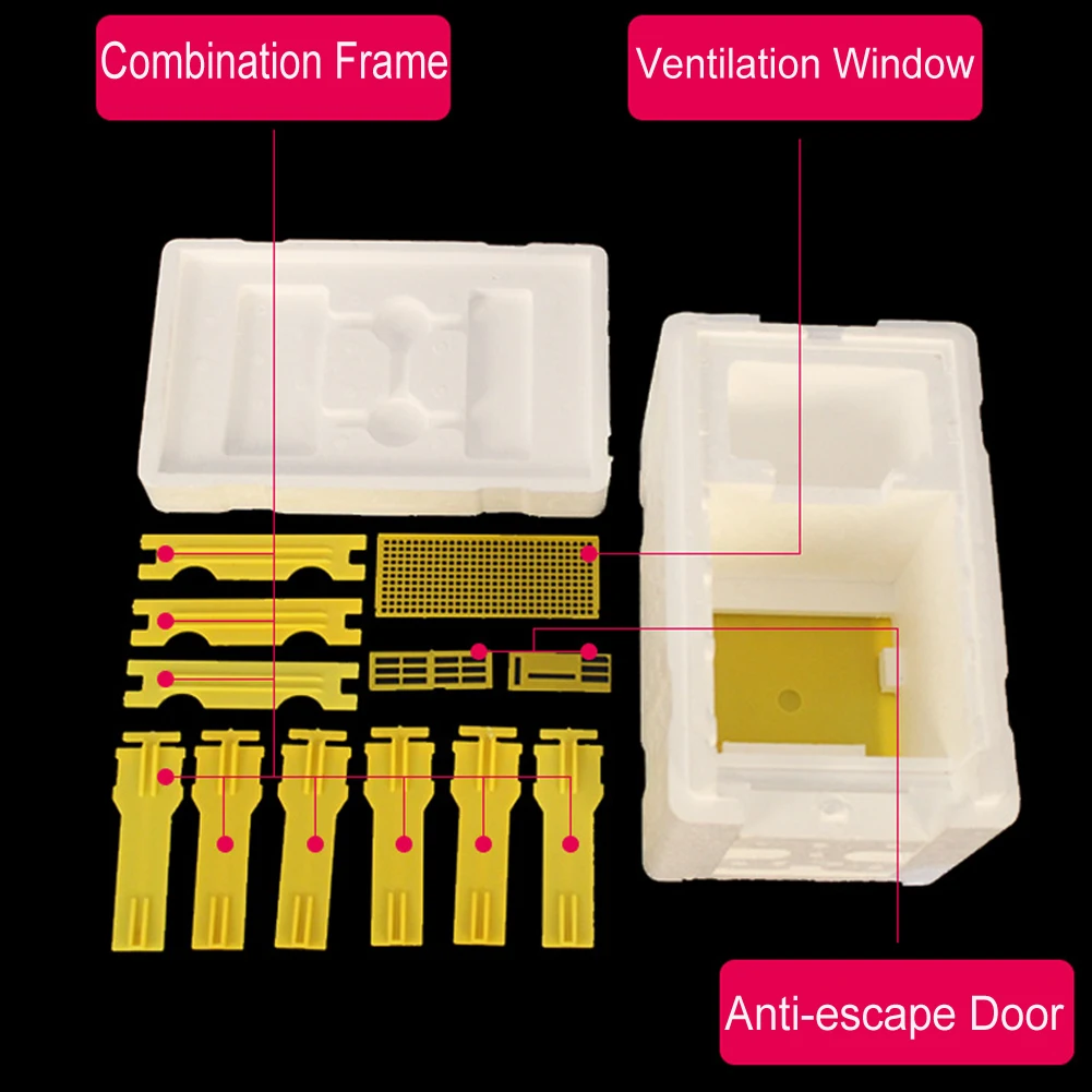 Bee Hive Beekeeping King Box Pollination Box Foam Frames Beekeeping Tool Kit for Garden Pollination
Bee Hive Beekeeping King Box Pollination Box Foam Frames Beekeeping Tool Kit for Garden Pollination