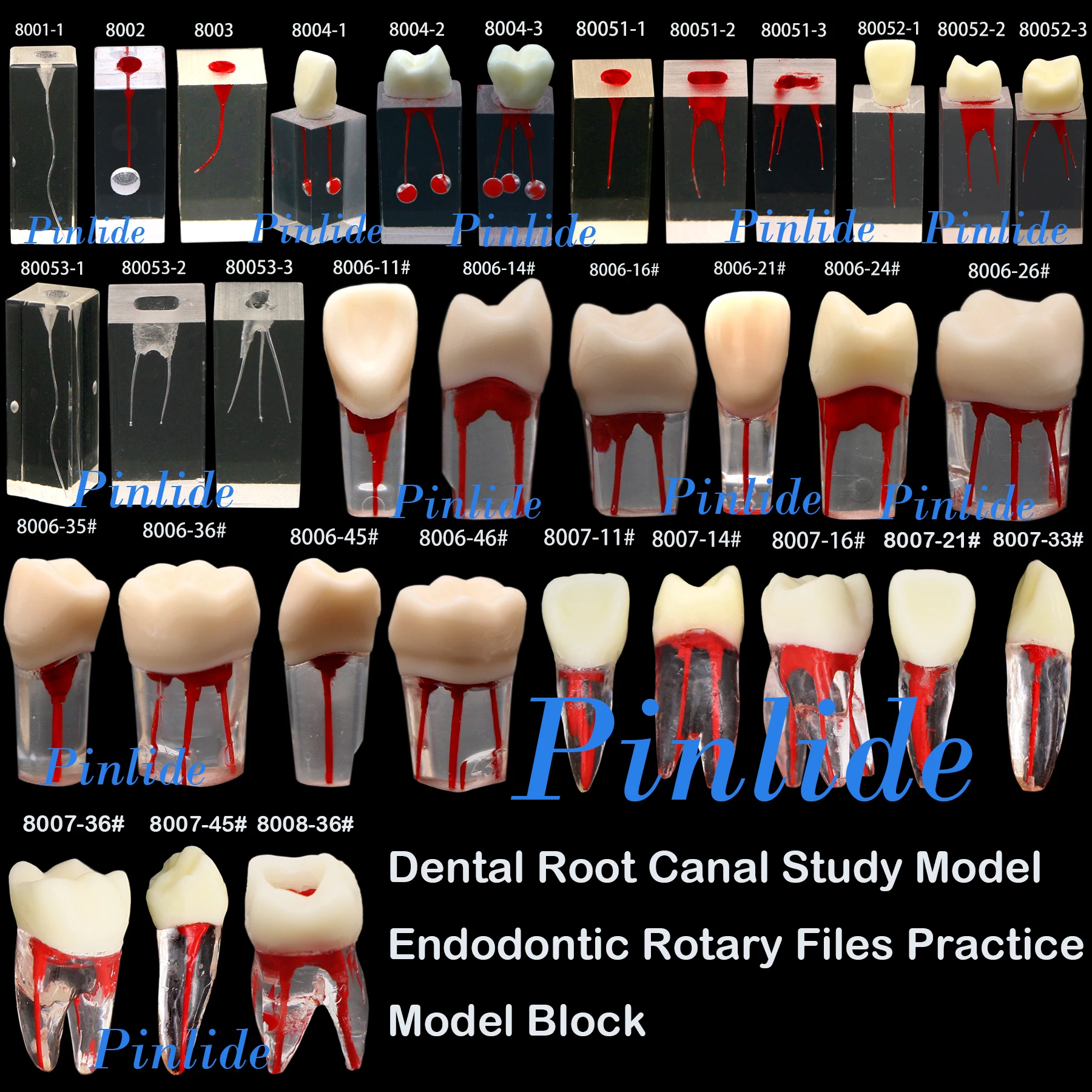 Dental Endodontic Root Canal Study Model RCT Endodontic Rotary Files Practice avity preparation teaching Clear Resin Tooth model
Dental Endodontic Root Canal Study Model RCT Endodontic Rotary Files Practice avity preparation teaching Clear Resin Tooth model