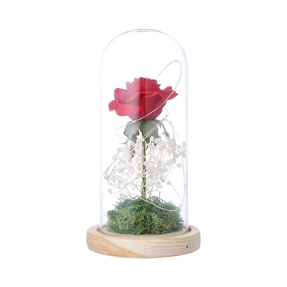Romantic Glass Cover Simulation Rose Flower Lighting OrnamentsLantern Decorative Night Light Valentine's Day Gift Home Decor
Romantic Glass Cover Simulation Rose Flower Lighting OrnamentsLantern Decorative Night Light Valentine's Day Gift Home Decor