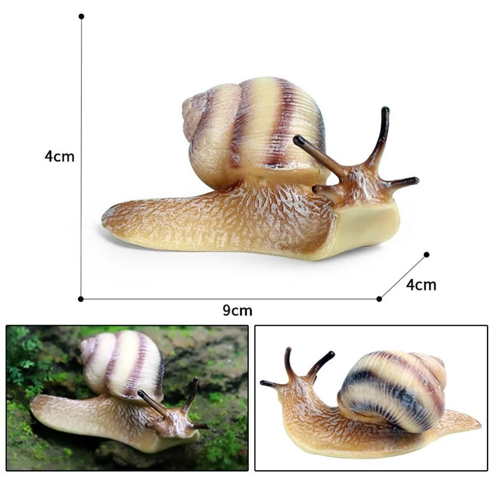 Realistic Snail Growth Cycle Collection Educational Toy For Kid Simulation Decoration Birthday Gift Toys Home Gift Garden T3E8
Realistic Snail Growth Cycle Collection Educational Toy For Kid Simulation Decoration Birthday Gift Toys Home Gift Garden T3E8