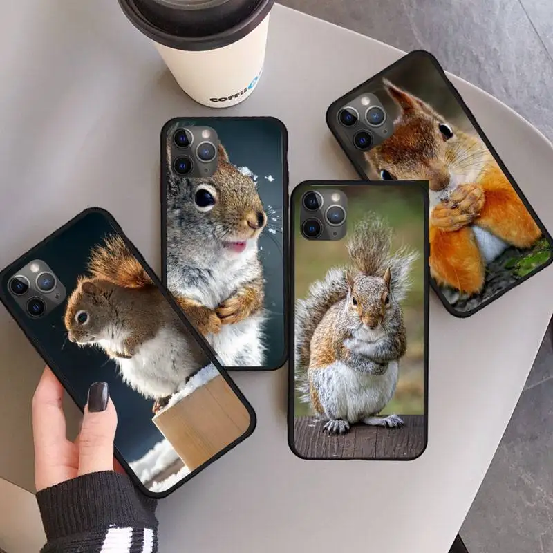 cute animal squirrel Phone Case for iPhone 11 12 pro XS MAX 8 7 6 6S Plus X 5S SE 2020 XR mini
cute animal squirrel Phone Case for iPhone 11 12 pro XS MAX 8 7 6 6S Plus X 5S SE 2020 XR mini
