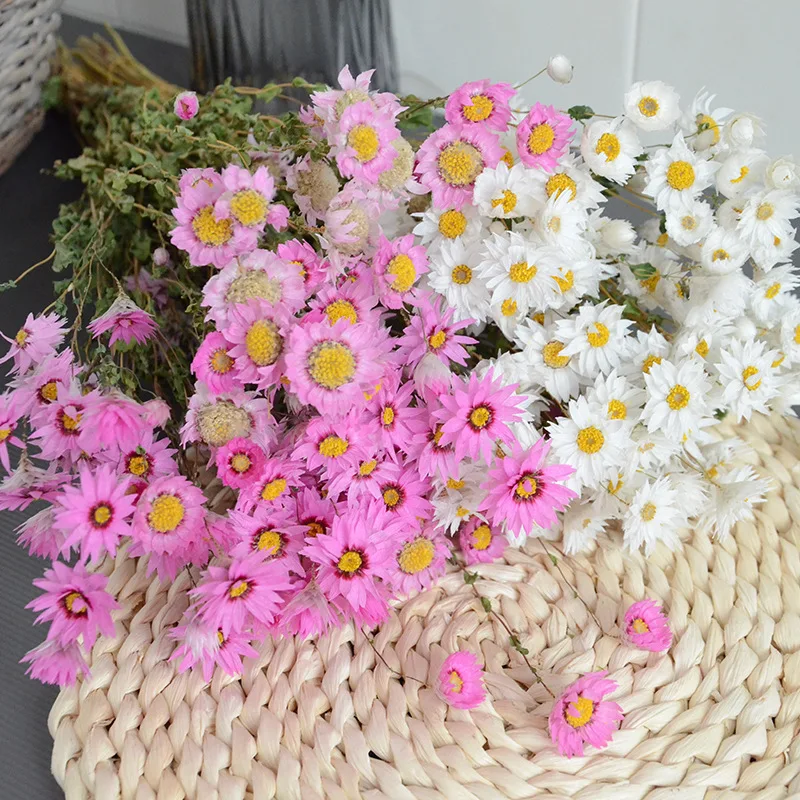 Natural Real Bouquet Rudan Birds Small Helichrysum Daisy DIY Arrangement Vase Room Home Art Decoration Valentine Day Gift
Natural Real Bouquet Rudan Birds Small Helichrysum Daisy DIY Arrangement Vase Room Home Art Decoration Valentine Day Gift