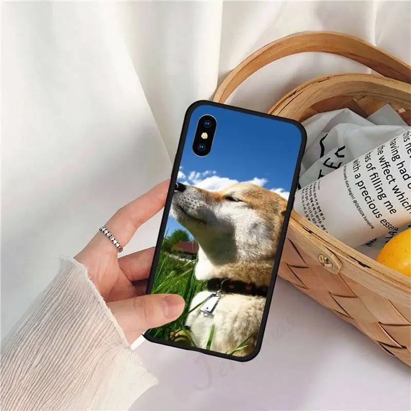 shiba inu cute dog animal Phone Case for iPhone 11 12 pro XS MAX 8 7 6 6S Plus X 5S SE 2020 XR luxury deisgn coque
shiba inu cute dog animal Phone Case for iPhone 11 12 pro XS MAX 8 7 6 6S Plus X 5S SE 2020 XR luxury deisgn coque